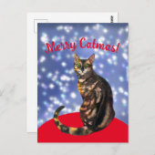 Merry Catmas, bengalische Katzenpostkarte Postkarte (Vorne/Hinten)