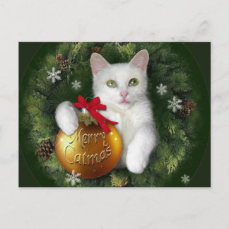 Merry Catmas Feiertagspostkarte
