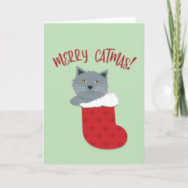 Merry Catmas Karte