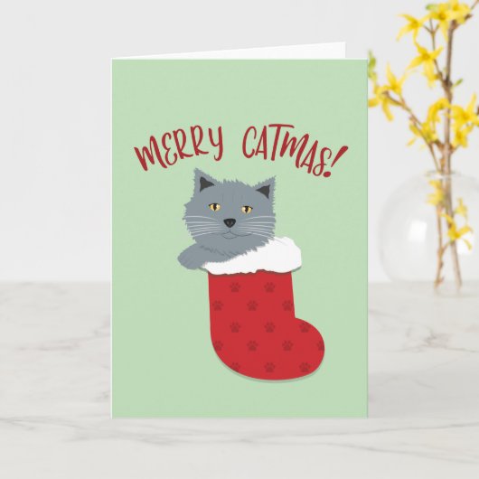 Merry Catmas Karte (Gelbe Blume)