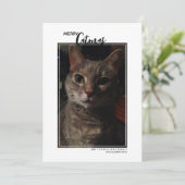 Merry Catmas Pet Foto Urlaubskarte Feiertagskarte (Stehend Vorderseite)