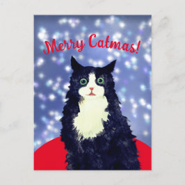 Merry Catmas Postkarte