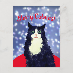 Merry Catmas Postkarte
