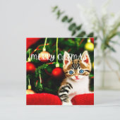 Merry Catmas Purffect Weihnachtskarte Feiertagskarte (Stehend Vorderseite)