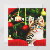 Merry Catmas Purffect Weihnachtskarte Feiertagskarte (Vorderseite)