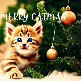 Merry Catmas Purffect Weihnachtskarte Feiertagskarte