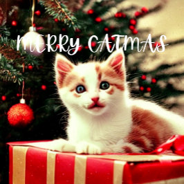 Merry Catmas Purffect Weihnachtskarte Feiertagskarte