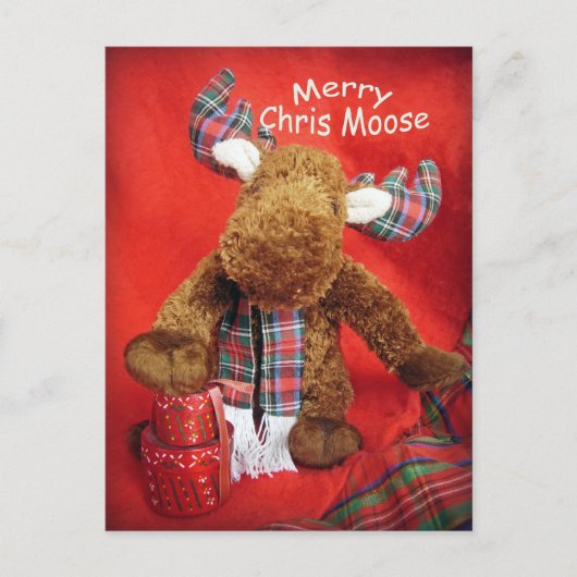 Merry Chris Moose Feiertagspostkarte (Vorderseite)