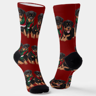 Merry Chrismutts Rottweiler Welpen tragen Scarf Socken