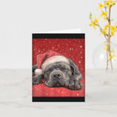 Merry Christmas Cane Corso Karte (Gelbe Blume)