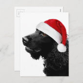 Merry Christmas Cocker Feiertagspostkarte (Vorne/Hinten)