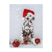 Merry Christmas Dalmatian