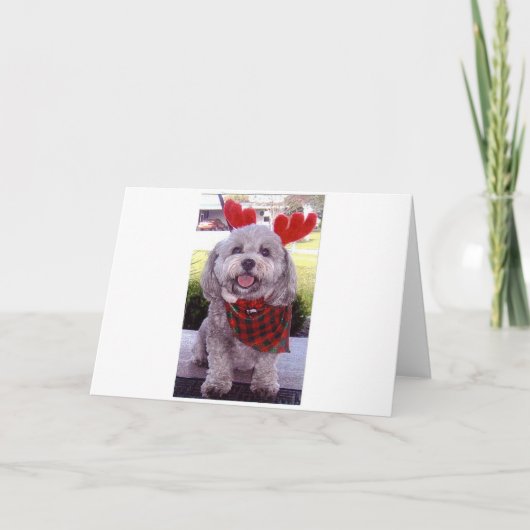 Merry Christmas Feiertagskarte (Vorderseite)