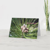 Merry  Christmas... Feiertagskarte (Rückseite)