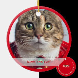 Merry Christmas from Family Cat Keramik Ornament