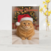 Merry Christmas – Ginger Cat by the Tree Karte (Gelbe Blume)