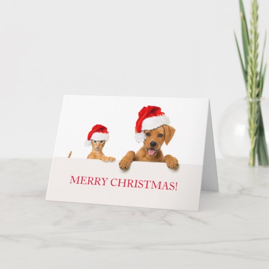 MERRY CHRISTMAS Grußkarten-Hund und CAT Karte (Vorderseite)