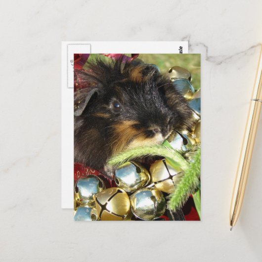 Merry Christmas Guinea Pig Postkarte (Vorderseite/Rückseite Beispiel)