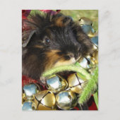 Merry Christmas Guinea Pig Postkarte (Vorderseite)