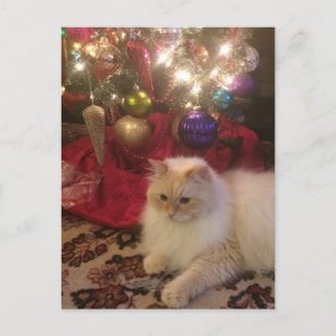 Merry Christmas & Happy New Year Postkarte