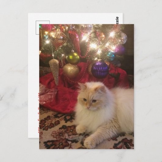 Merry Christmas & Happy New Year Postkarte (Vorne/Hinten)