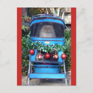 Merry Christmas & Happy New Year Postkarte