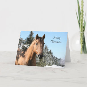 Merry Christmas horse Feiertagskarte