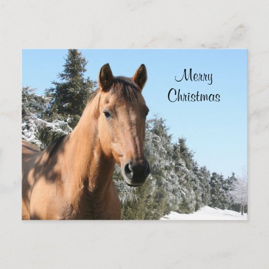 Merry Christmas horse Feiertagspostkarte (Vorderseite)