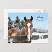Merry Christmas horse Feiertagspostkarte (Vorne/Hinten)