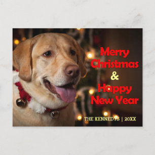 Merry Christmas - Labrador Retriever Bell Collar Feiertagspostkarte