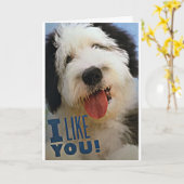 ***MERRY CHRISTMAS**** **LIEBE SIE** & **WIE SIE** KARTE (Gelbe Blume)