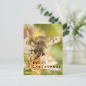 Merry Christmas Moth on Flower Postkarte (Stehend Vorderseite)