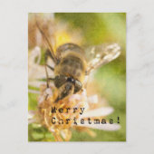 Merry Christmas Moth on Flower Postkarte (Vorderseite)