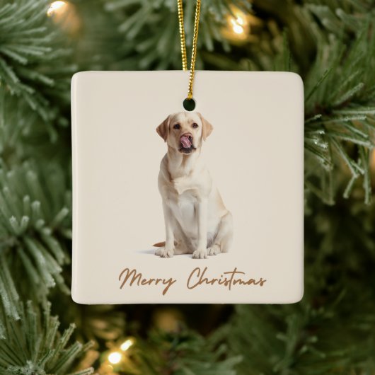 Merry Christmas Ornament Custom Dog Photo (Baum)
