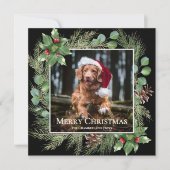Merry Christmas Pet Photo Wreath Square Card (Vorderseite)