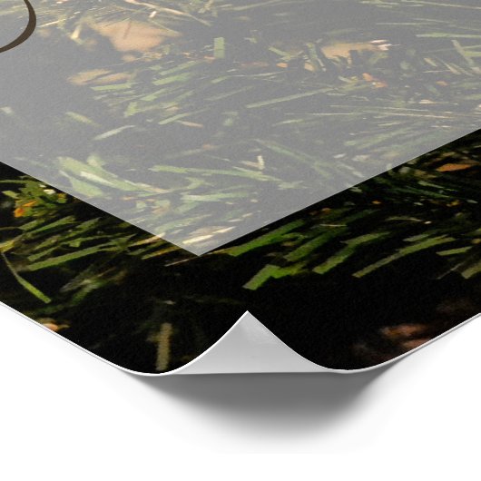 MERRY CHRISTMAS POSTER (Ecke)