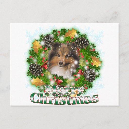 Merry Christmas Sheltie Feiertagspostkarte (Vorderseite)