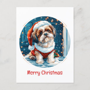 Merry Christmas Shih Tzu Santa Dog Feiertagspostkarte
