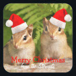 Merry Christmas Square Labels mit Baby Chipmunks Quadratischer Aufkleber<br><div class="desc">Zwei bezaubernde kleine Babychipmunken tragen ihre Weihnachtsmannmützen bereit,  Weihnachtsgrüße zu Ihren Karten und Korrespondenz hinzuzufügen - ganz individuell für Sie zu personalisieren,  wie Sie möchten!</div>