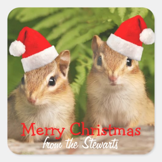Merry Christmas Square Labels mit Baby Chipmunks Quadratischer Aufkleber (Vorderseite)