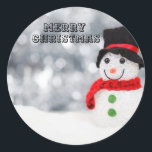 Merry Christmas Sticker Label<br><div class="desc">Merry Christmas Sticker Label</div>