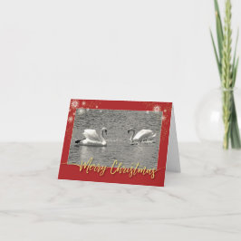 Merry Christmas Swan Family Feiertagskarte