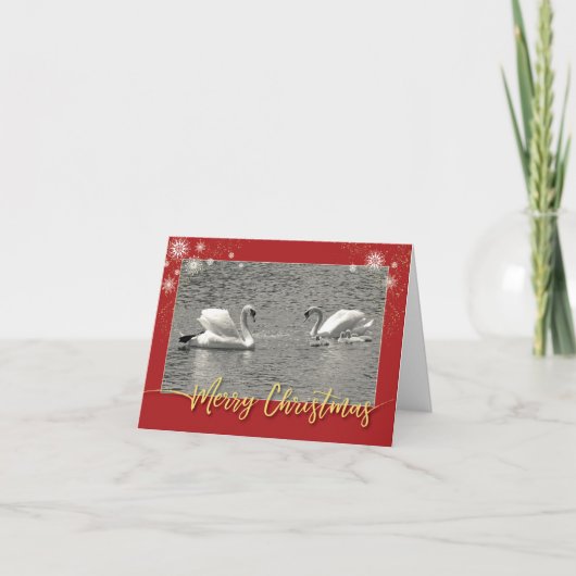 Merry Christmas Swan Family Feiertagskarte (Vorderseite)