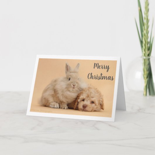 **MERRY CHRISTMAS** von BUNNY & PUPPY Feiertagskarte (Vorderseite)
