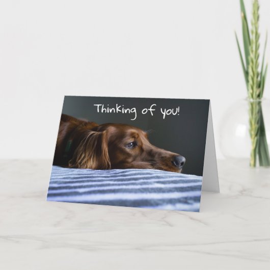 "MERRY CHRISTMAS" VON SWEET PUP FEIERTAGSKARTE (Vorderseite)