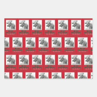 Merry Christmoose Geschenkpapier Set