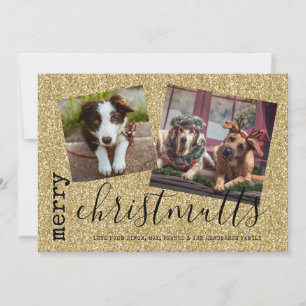 Merry ChristMUTTS Foto Pets Gold Feiertagskarte
