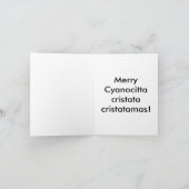 Merry Cyanocitta cristata cristatamas! Feiertagskarte (Innenseite)
