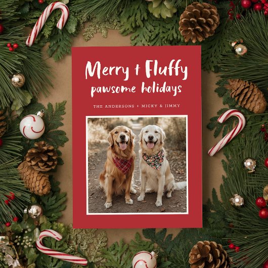 Merry Fluffy Golden Retriever Dog Foto Weihnachten
