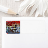 Merry-Go-Round in Motion (Insitu)